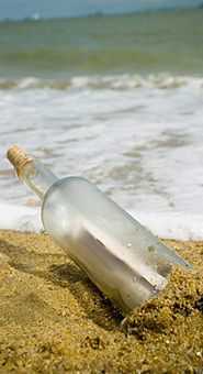  ايجيبت فينير لتصنيع وتجارة الق - عن  شركتنا